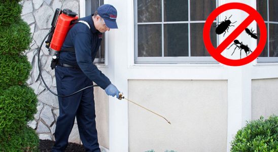 Akyazı Hamam Böceği İlaçlama böcek ilaçlama ve haşere kontrolü — ilaclama-tr.com